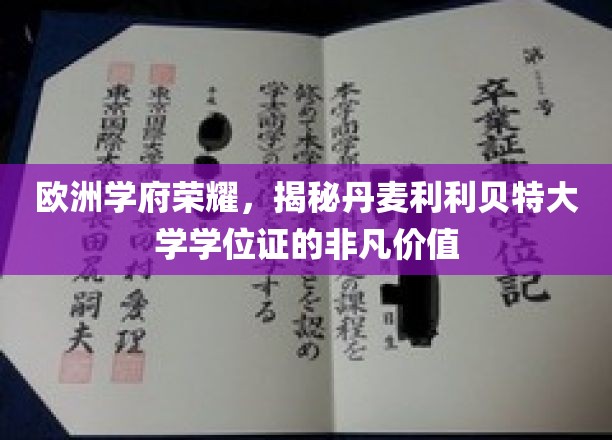 探寻丹麦利利贝特大学学位证的欧洲名校光环