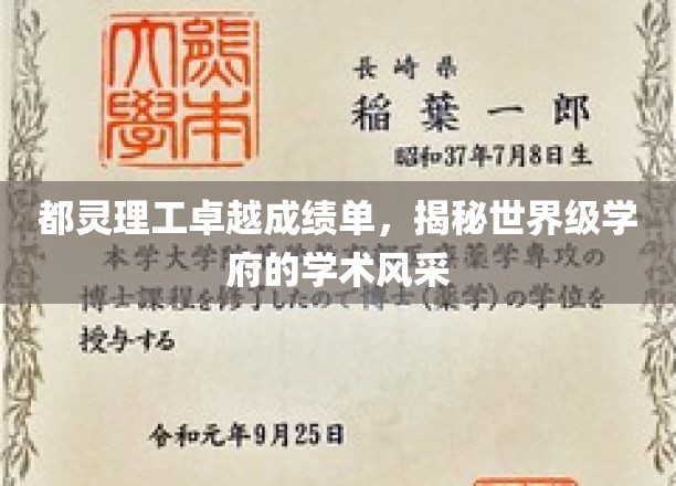 都灵理工卓越成绩单，一窥世界级学府的学术风采