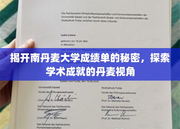 解码南丹麦大学成绩单，探秘北欧教育的卓越奥秘