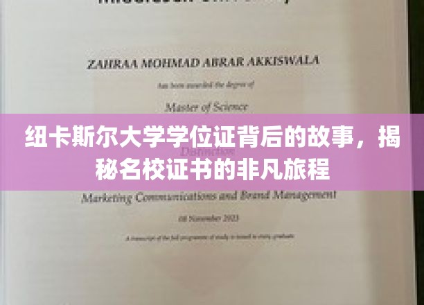 纽卡斯尔大学学位证背后的故事，揭秘名校证书的非凡旅程