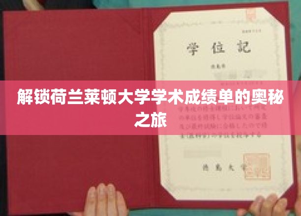 探秘荷兰莱顿大学成绩单背后的秘密世界