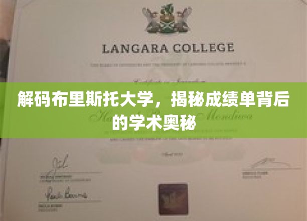 探寻布里斯托大学成绩单，揭开学术成就的神秘面纱