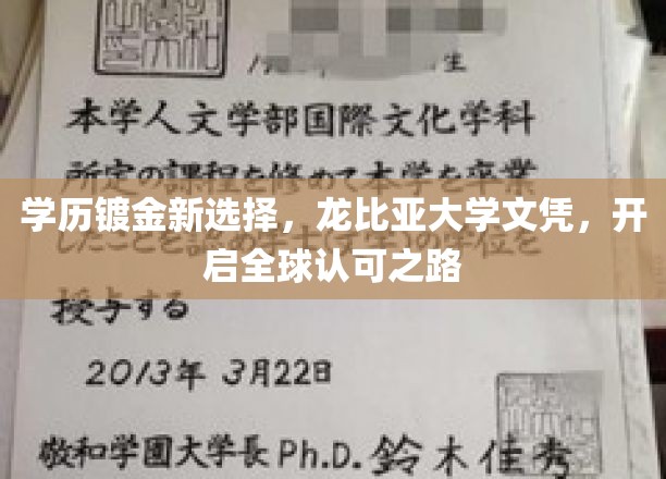 龙比亚大学学位，国际通行证在手，学历镀金新篇章