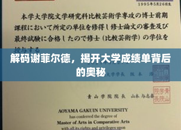 探寻谢菲尔德大学，成绩单背后的不为人知秘密