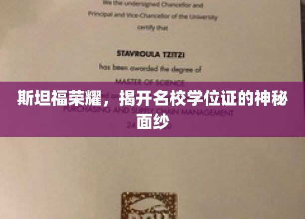 斯坦福学位之谜，名校证书背后的传奇故事