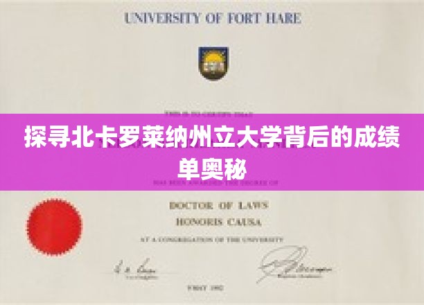 解开北卡罗莱纳大学辉煌成就的秘密面纱