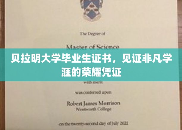 贝拉明大学毕业生证书，荣耀见证非凡学涯