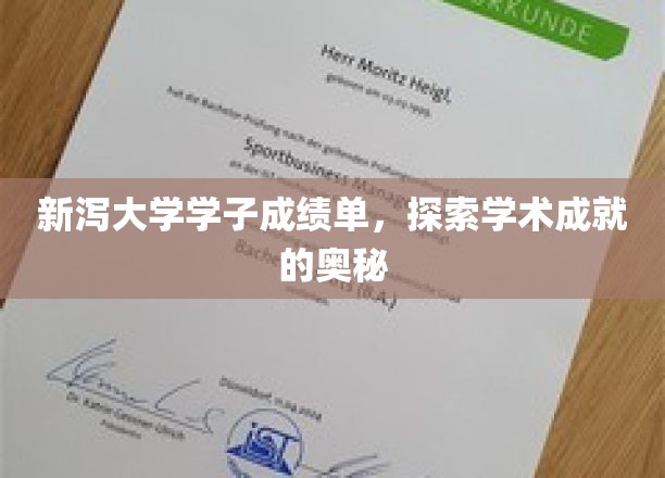 解码新泻大学学霸秘籍，揭秘学术卓越背后的故事