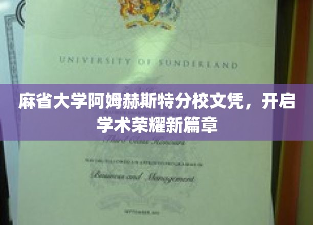 麻省大学阿姆赫斯特荣耀文凭，铸就学术巅峰新起点