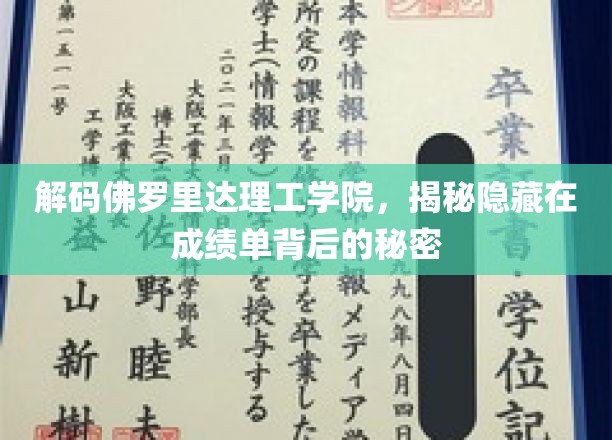 揭开佛罗里达理工学院成绩单背后的神秘面纱