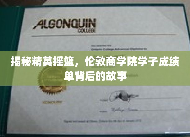 揭秘精英摇篮，伦敦商学院学子成绩单背后的故事