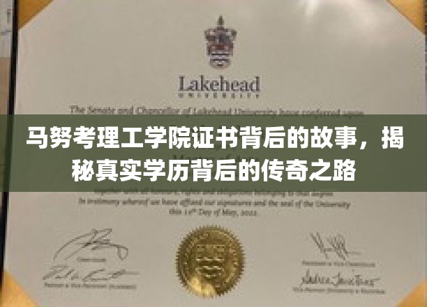 马努考理工学院证书之谜，探寻学历传奇背后的非凡历程