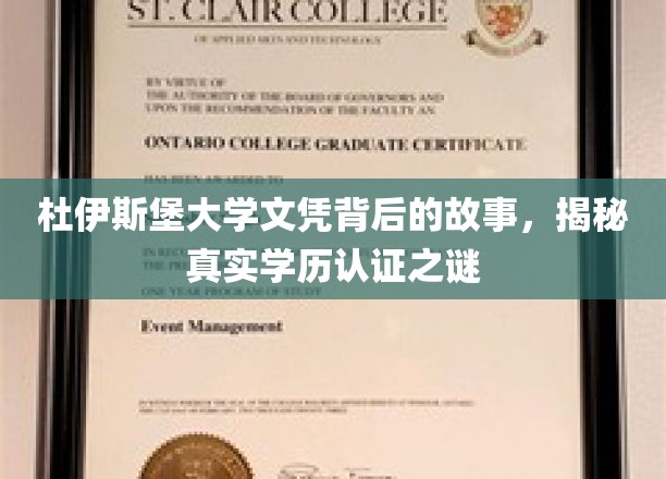 探寻杜伊斯堡大学文凭真相，学历认证背后的秘密面纱