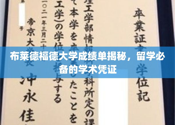 解锁留学必备，布莱德福德大学成绩单背后的学术奥秘