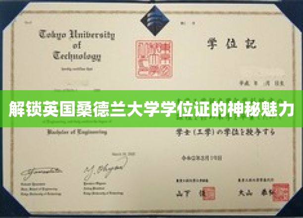 探寻英国桑德兰大学学位证的独特价值与全球认可度