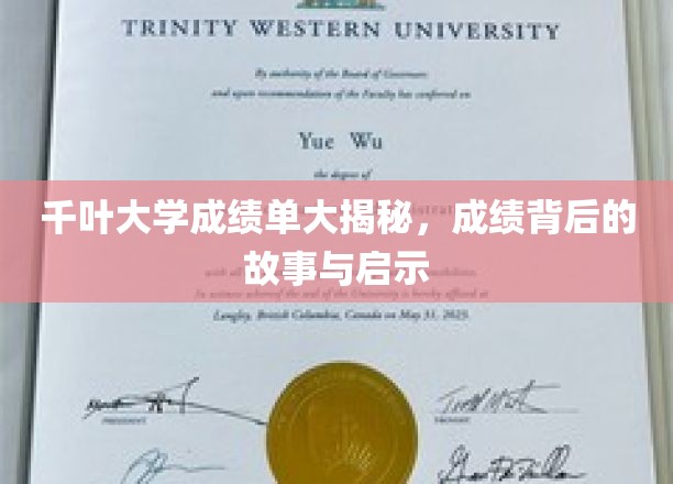 千叶大学成绩单大揭秘：成绩背后的故事与启示