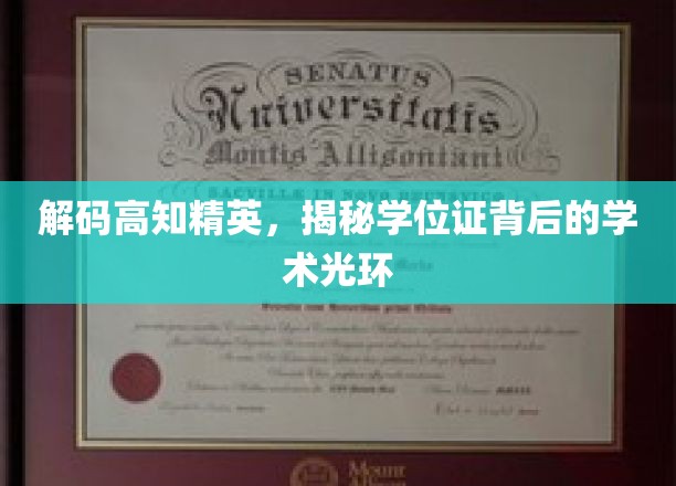 解码精英学位背后的智慧之光