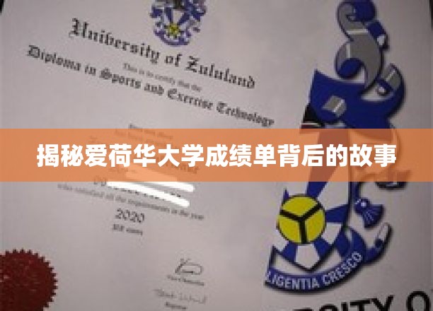 揭秘，爱荷华大学成绩单背后的神秘面纱