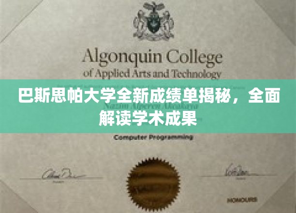 解码巴斯思帕大学新成绩单，一窥学术成就全景