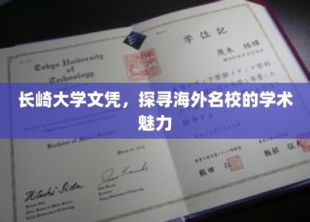 跨国学术之旅，长崎大学文凭背后的国际教育风采