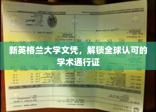 新英格兰大学文凭，开启国际学术之旅的钥匙