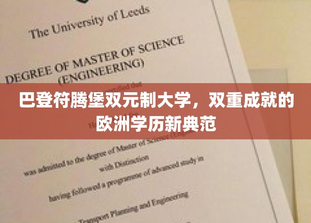 欧洲教育先锋，巴登符腾堡双元制大学，双重学历成就新标杆