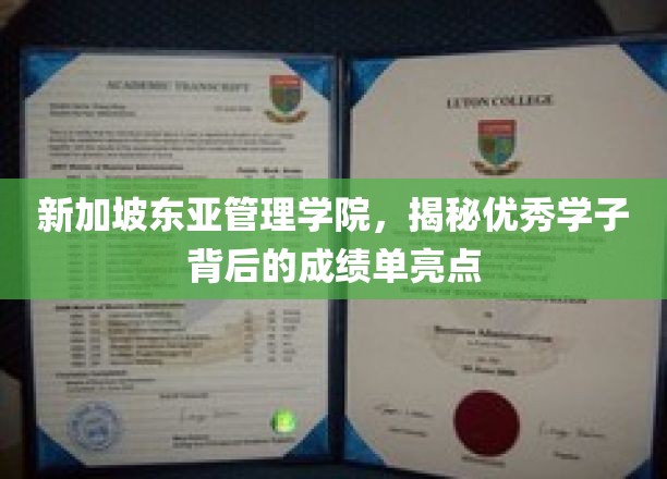 解码新加坡东亚管理学院学霸养成记，成绩单背后的闪耀秘密
