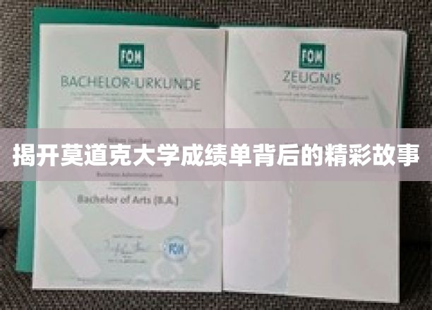 探索莫道克大学成绩单背后的精彩篇章