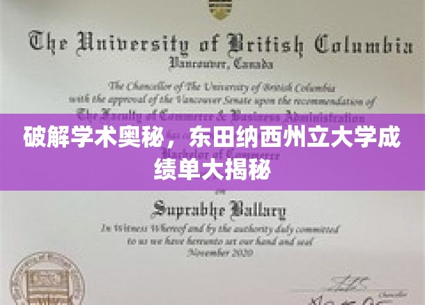 破解学术奥秘，东田纳西州立大学成绩单大揭秘