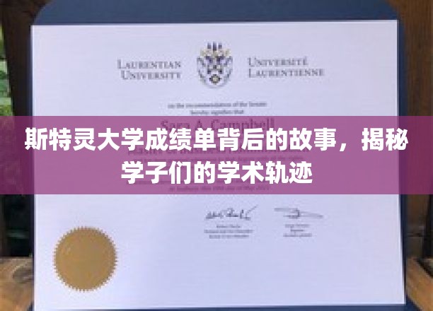 斯特灵学子足迹，揭秘成绩单背后的精彩学术旅程