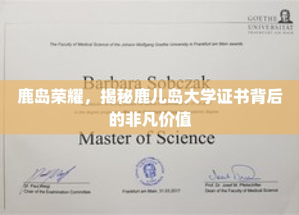 鹿岛传奇，鹿儿岛大学证书，探寻其背后的卓越魅力