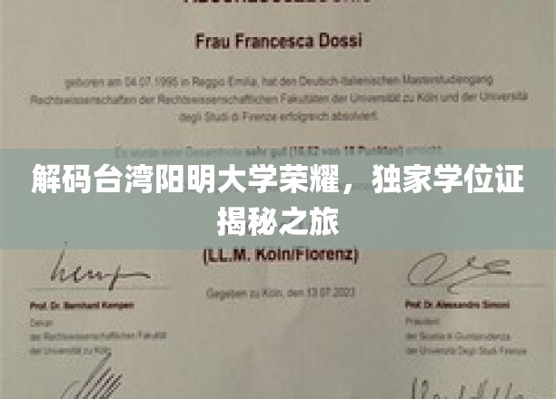 探索阳明大学学位之谜，揭秘台湾顶尖学府的荣耀证书之旅
