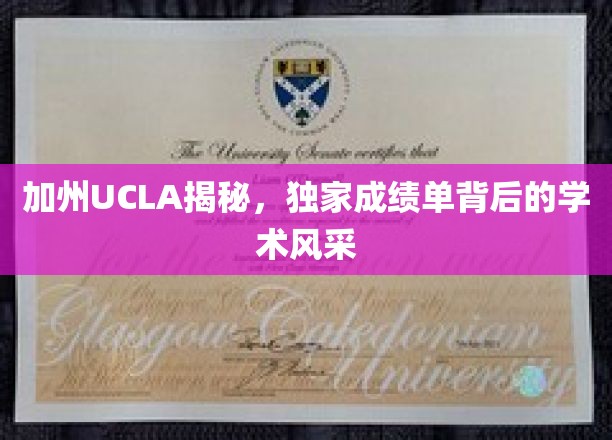 UCLA加州风采，一窥顶尖学府的卓越成绩单之谜