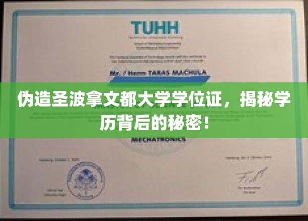 伪造名校学位证风波，揭秘学历认证的隐秘世界