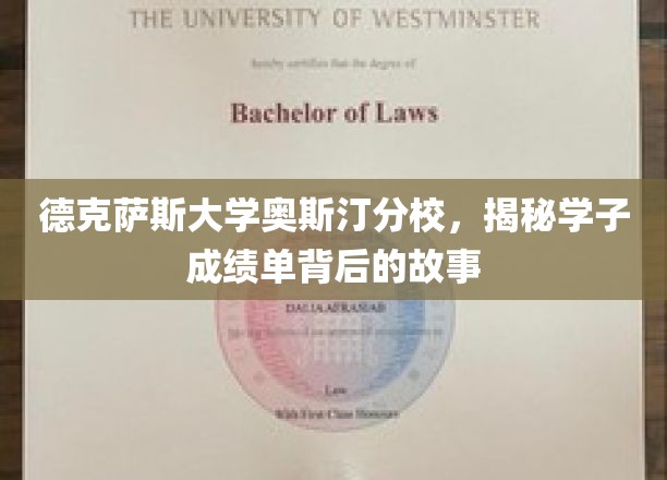 德克萨斯大学奥斯汀分校，揭开学子成绩单背后的成长奥秘
