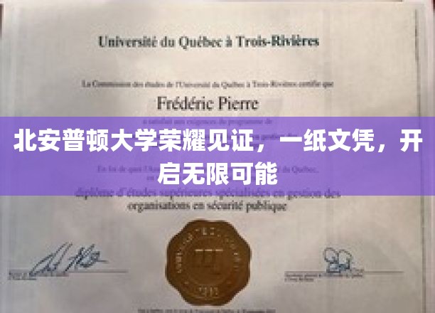 北安普顿荣耀加冕，文凭之翼助力梦想翱翔