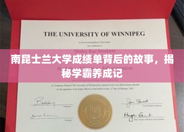 解码南昆士兰学霸之路，揭秘成绩单背后的辉煌历程
