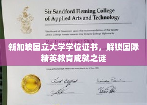 新加坡国立大学学位证书，揭秘国际精英教育的辉煌成就