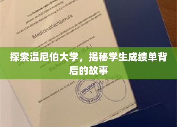 解码温尼伯大学，揭开成绩单背后的精彩篇章