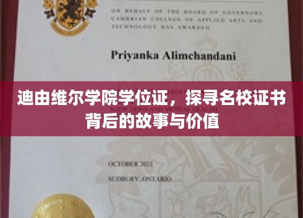 揭开迪由维尔学院学位证的面纱，名校证书的传奇与价值解析