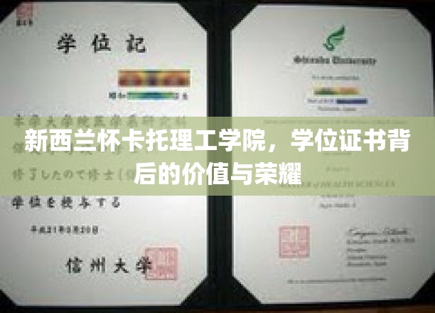 新西兰怀卡托理工学院，学位证书铸就非凡荣耀之路