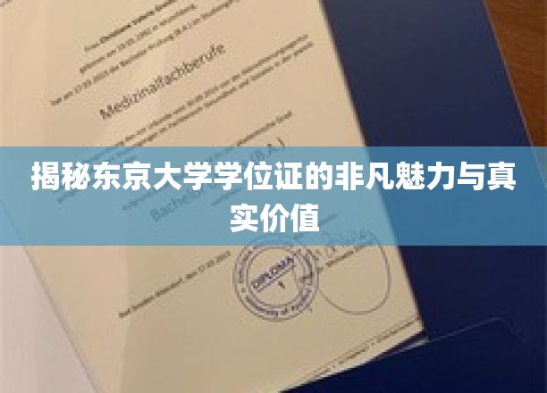 解码东京大学学位证的独特魅力与珍贵内涵