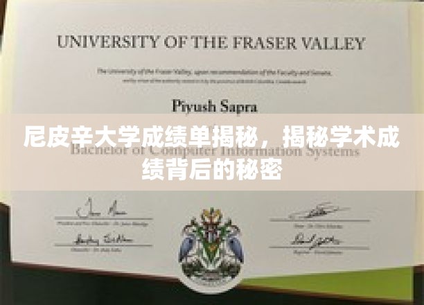 尼皮辛大学成绩单背后的惊人真相，揭开学术成绩的神秘面纱