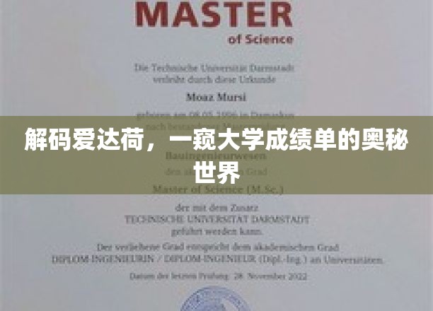 解码爱达荷，一窥大学成绩单的奥秘世界