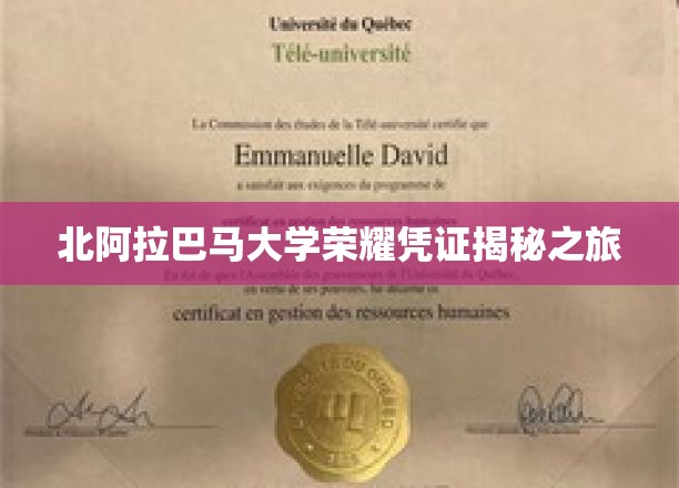 探寻北阿拉巴马大学荣耀凭证的神秘之旅