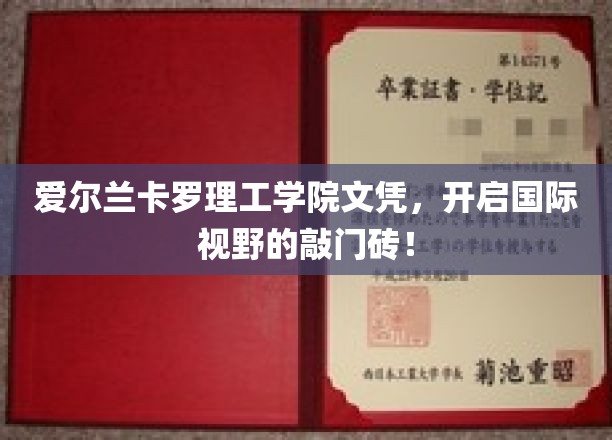 爱尔兰卡罗理工学院文凭，助力全球视野拓展，成就非凡人生起点！