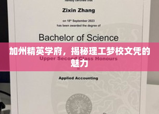 加州精英学府，揭秘理工梦校文凭的魅力