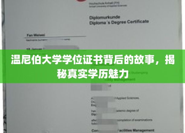 温尼伯大学学位证书背后的故事，揭秘真实学历魅力