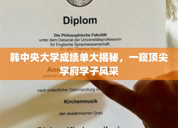 韩中央大学成绩单大揭秘，一窥顶尖学府学子风采