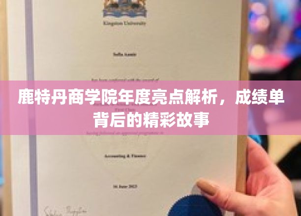 解码鹿特丹商学院，年度成绩单背后的非凡篇章